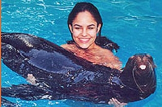  Nadar com leões marinhos 